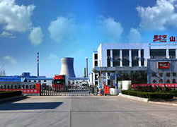 山東雅士享肉類(lèi)食品有限公司